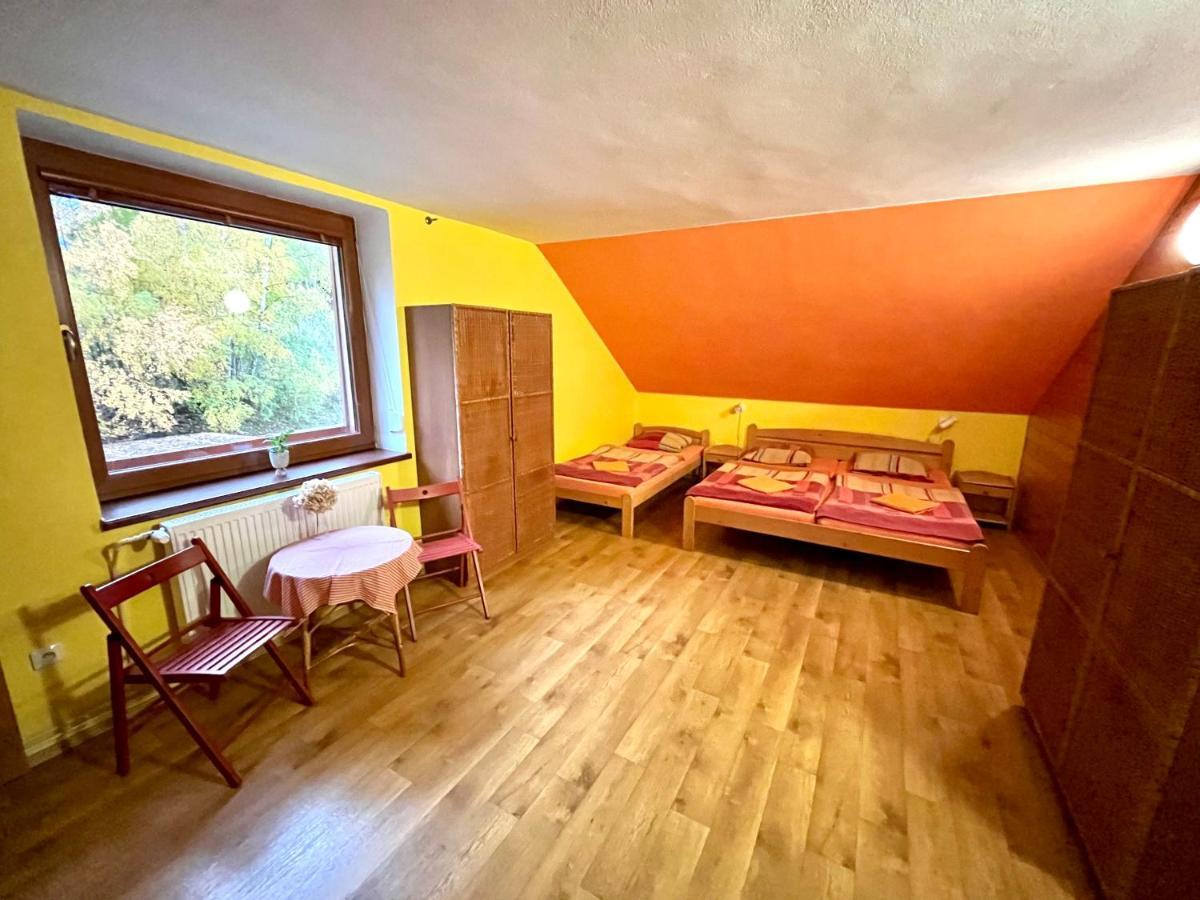 Hotel Penzion Horal Dolní Morava Exterior foto
